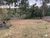 Fazenda, 94 hectares - Foto 3