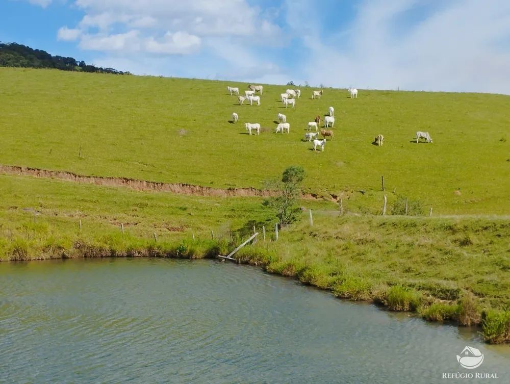 Fazenda, 242 hectares - Foto 16