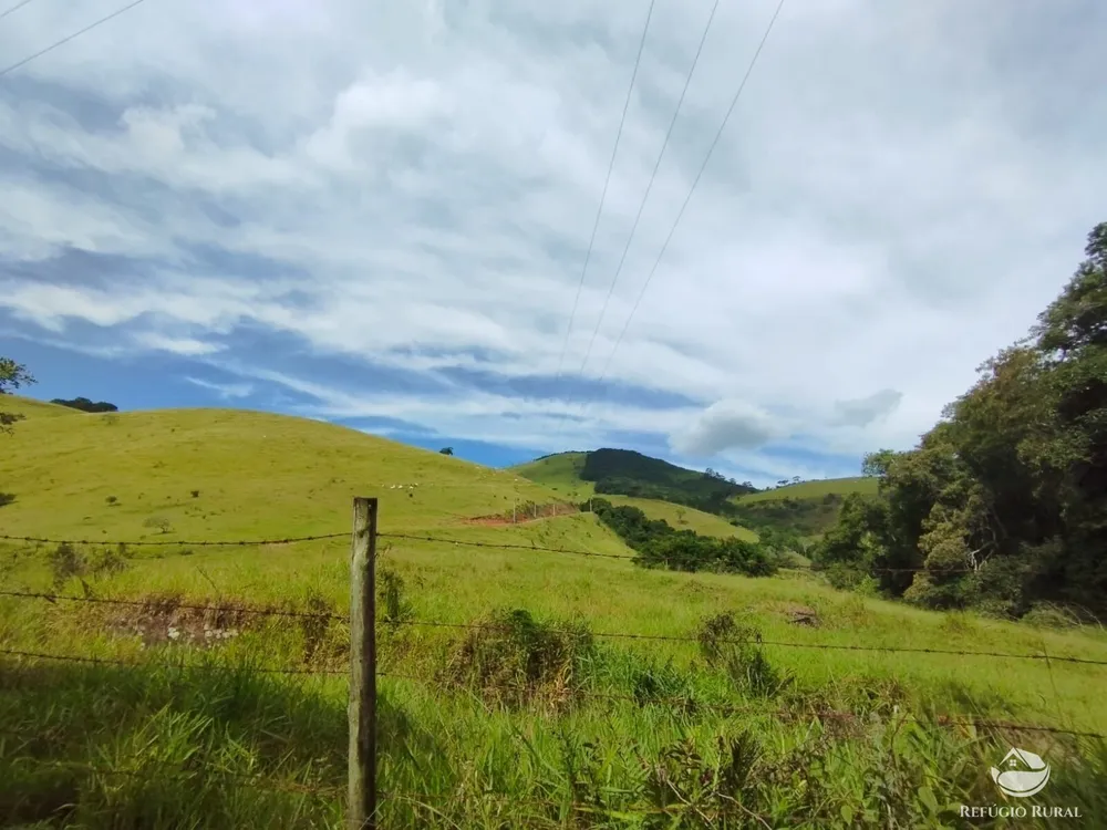 Fazenda, 242 hectares - Foto 14