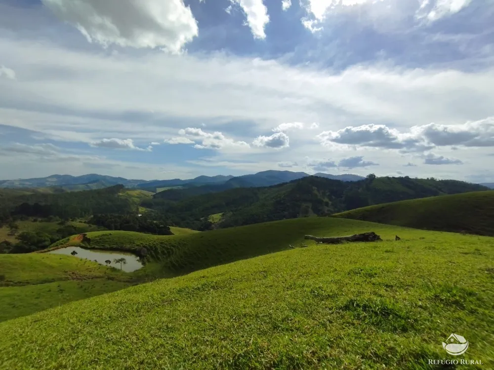 Fazenda, 242 hectares - Foto 17