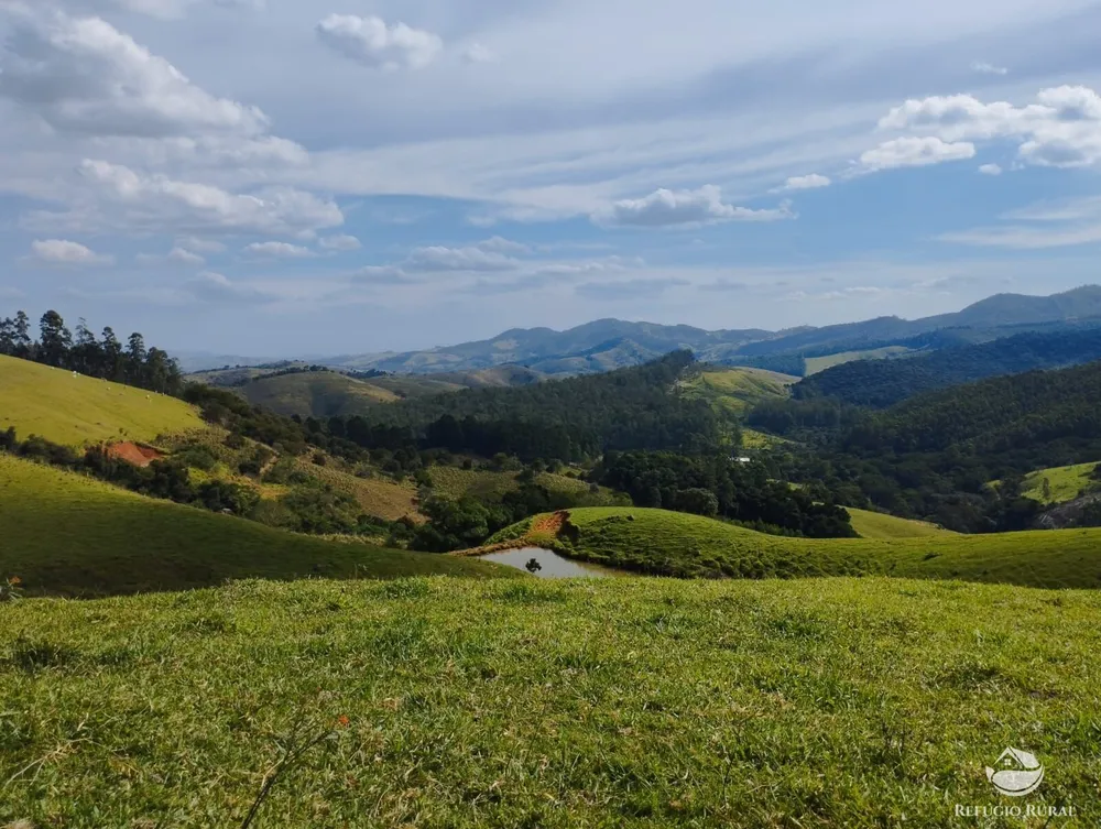Fazenda, 242 hectares - Foto 18