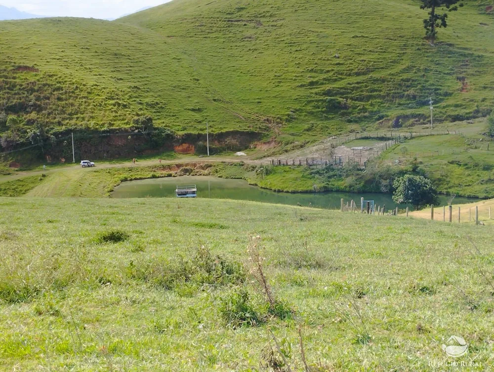 Fazenda, 242 hectares - Foto 13