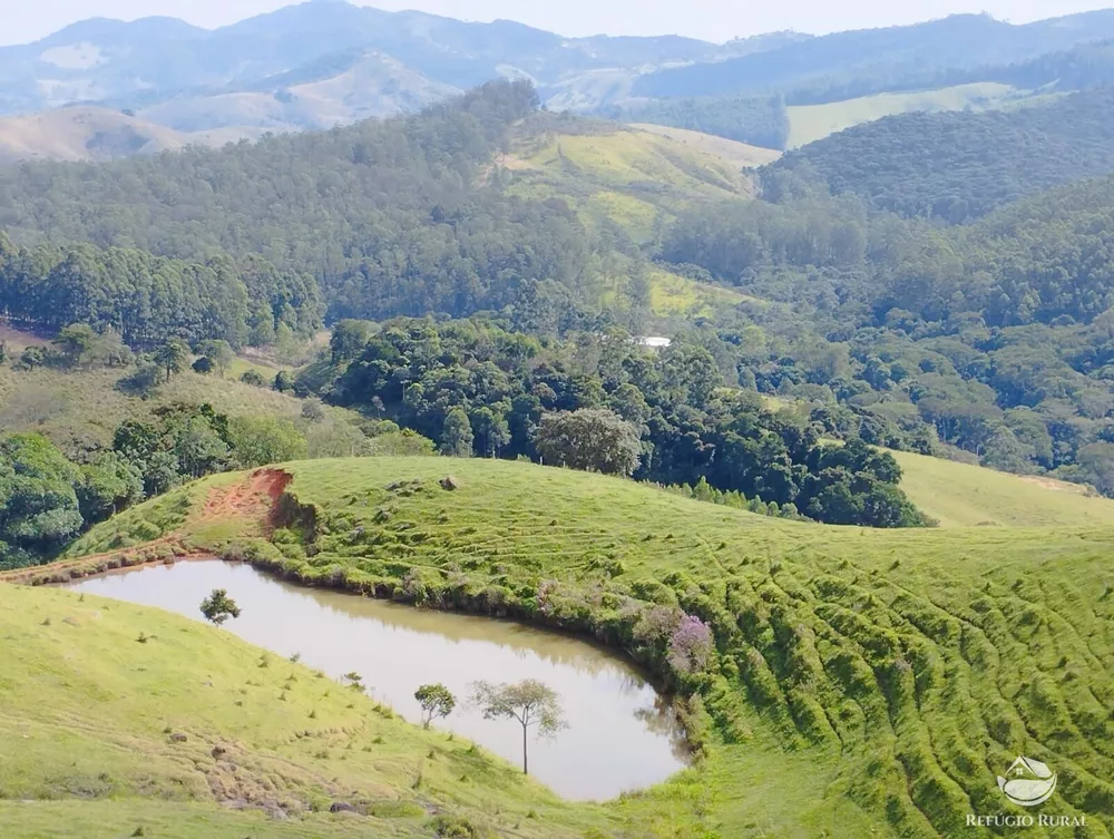 Fazenda, 242 hectares - Foto 1