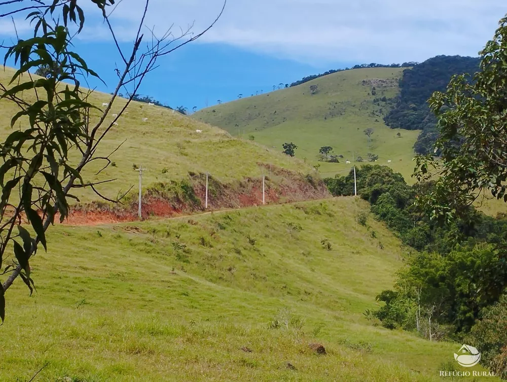Fazenda, 242 hectares - Foto 3