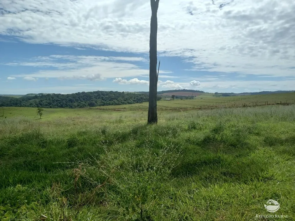 Fazenda, 96 hectares - Foto 6
