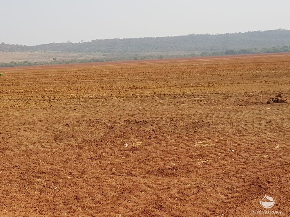 Fazenda à venda com 4 quartos, 175310000m² - Foto 11