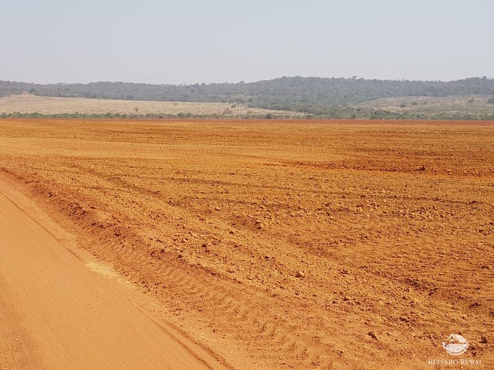 Fazenda à venda com 4 quartos, 175310000m² - Foto 4