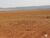 Fazenda-Sítio-Chácara, 17531 hectares - Foto 11
