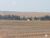 Fazenda-Sítio-Chácara, 17531 hectares - Foto 3