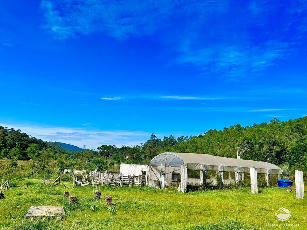 Fazenda, 144 hectares - Foto 9