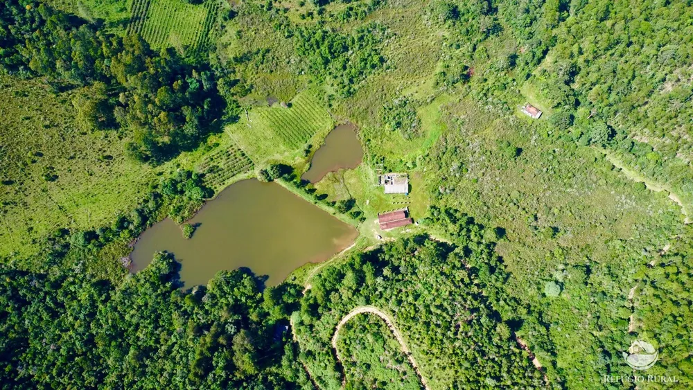 Fazenda, 144 hectares - Foto 8