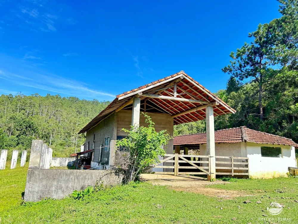 Fazenda, 144 hectares - Foto 13