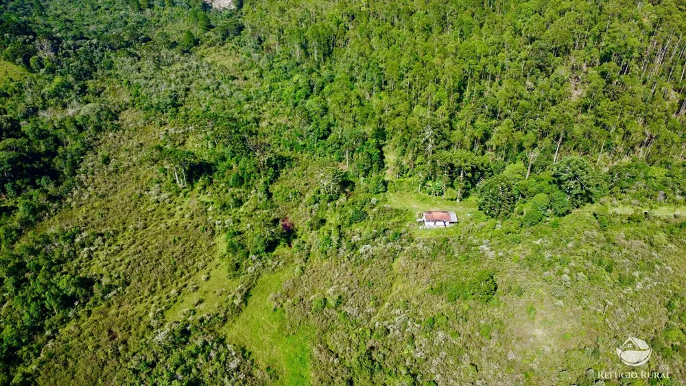 Fazenda, 144 hectares - Foto 7