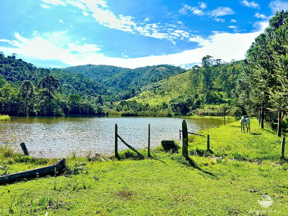 Fazenda, 144 hectares - Foto 11