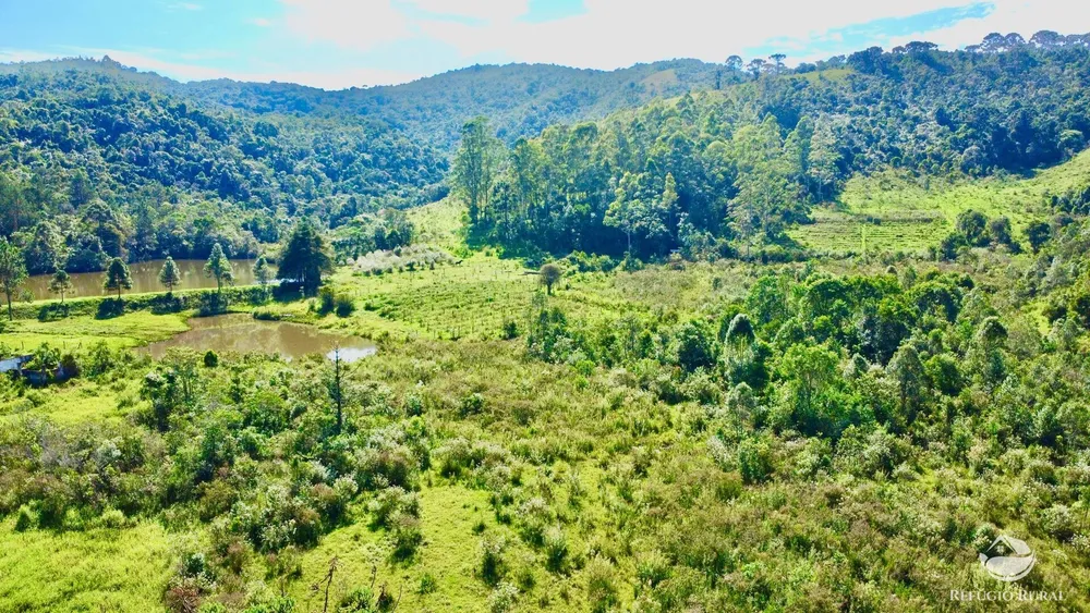 Fazenda, 144 hectares - Foto 15