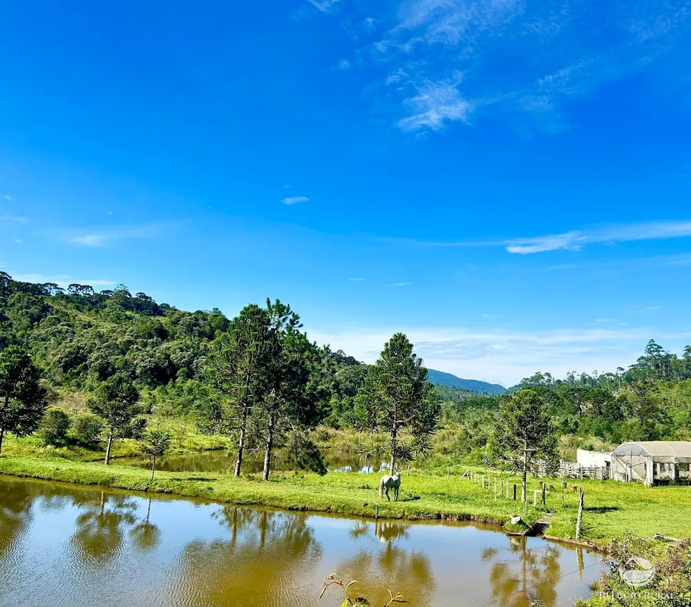 Fazenda, 144 hectares - Foto 14