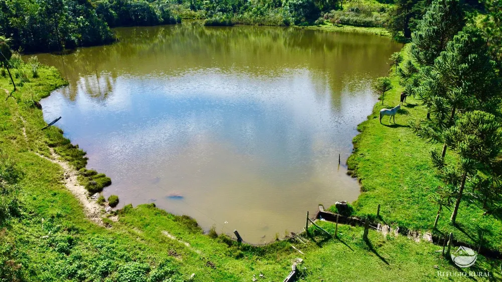 Fazenda, 144 hectares - Foto 12