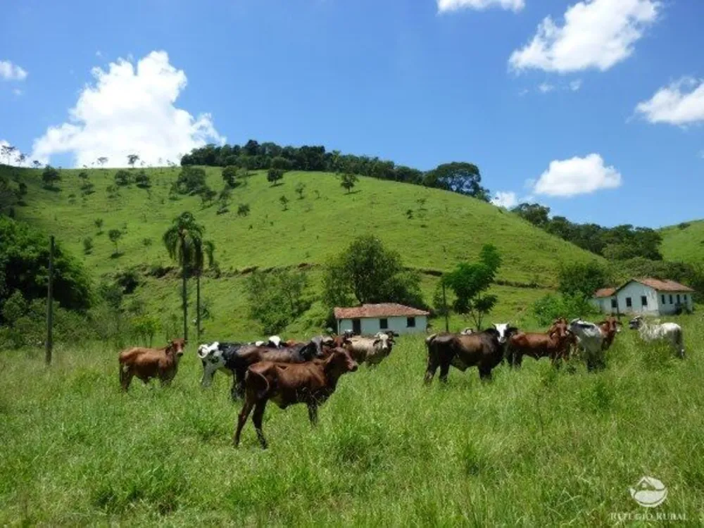 Sítio, 48 hectares - Foto 1