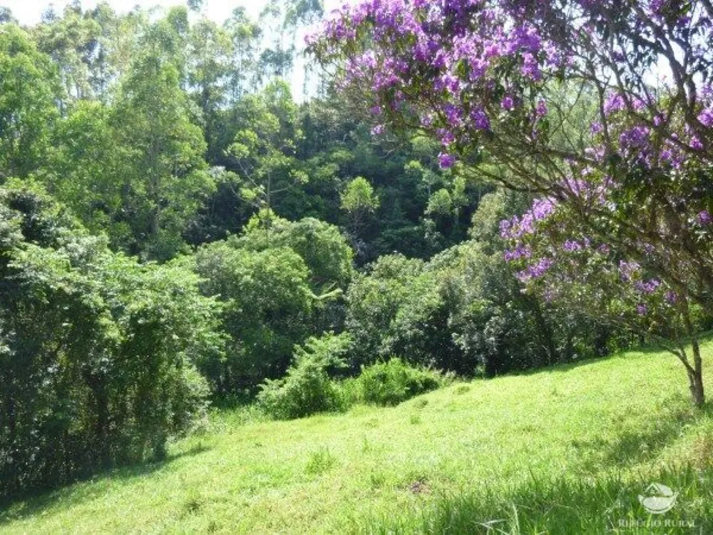 Sítio, 48 hectares - Foto 1