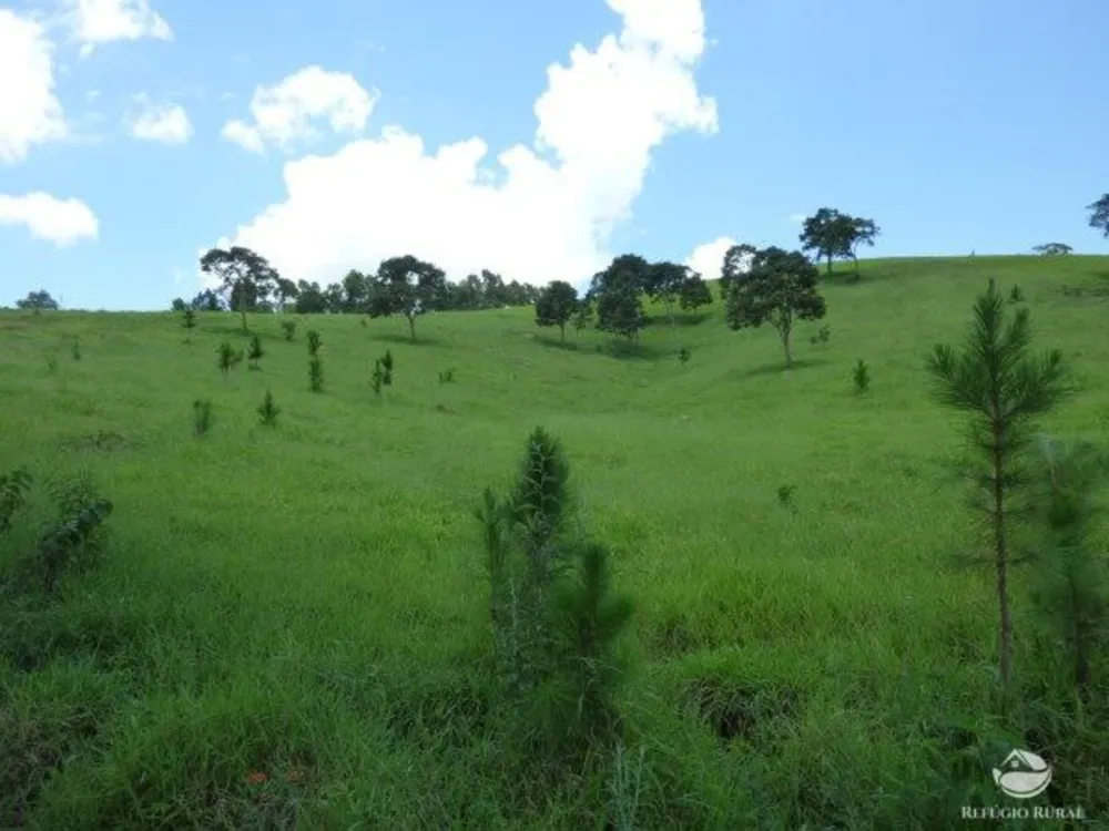 Sítio, 48 hectares - Foto 2