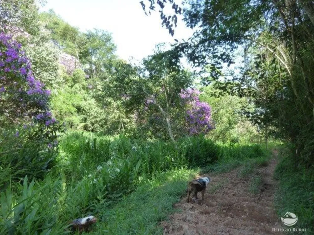 Sítio, 48 hectares - Foto 4