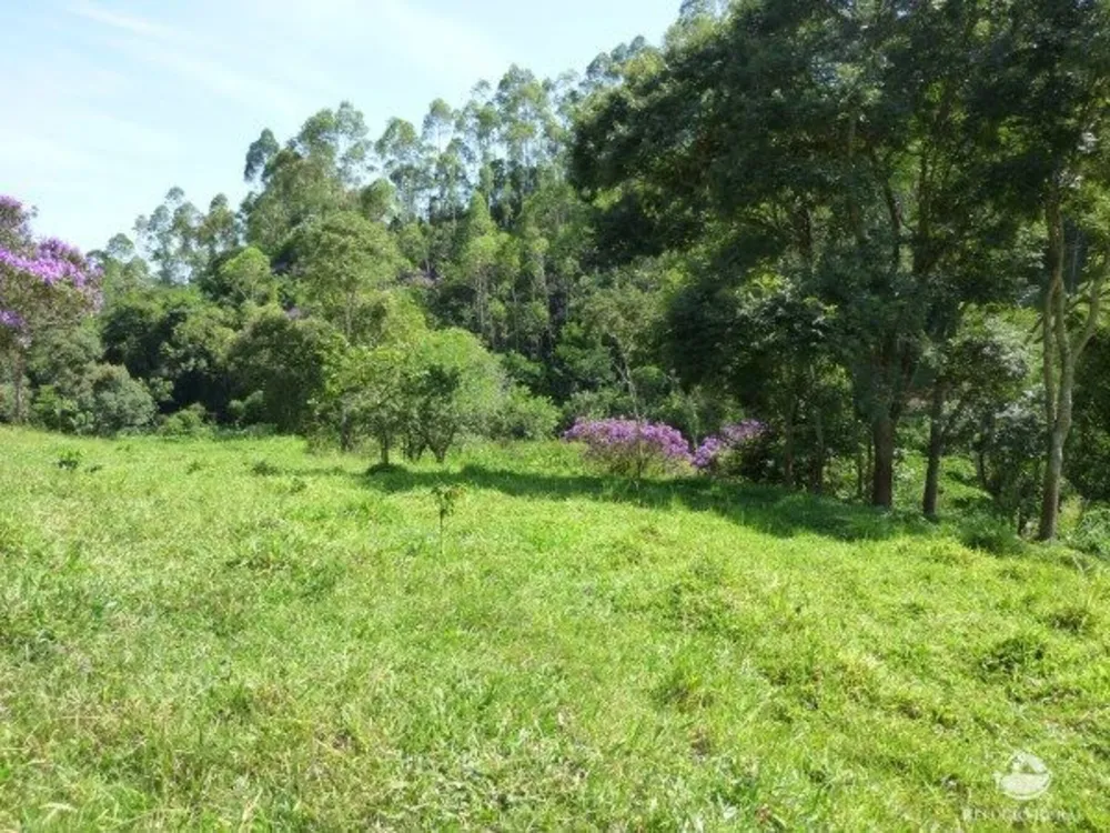 Sítio, 48 hectares - Foto 8