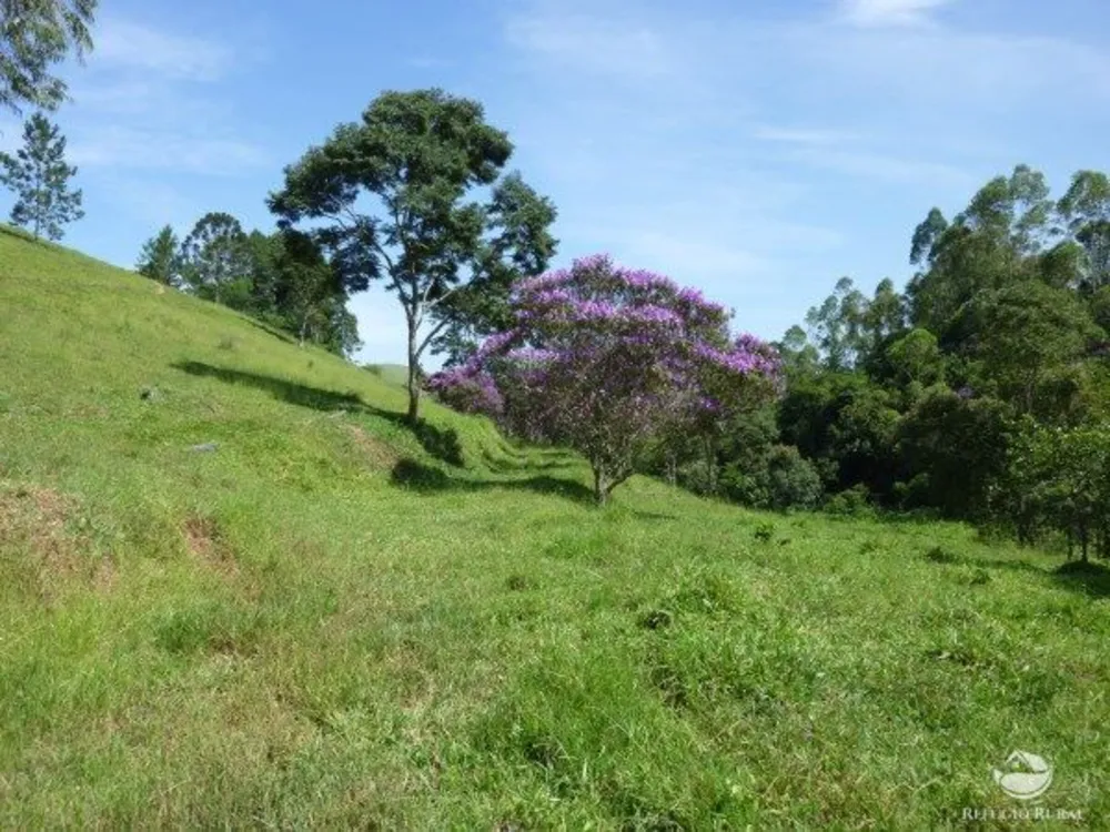Sítio, 48 hectares - Foto 11