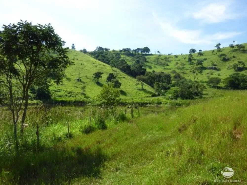 Sítio, 48 hectares - Foto 3