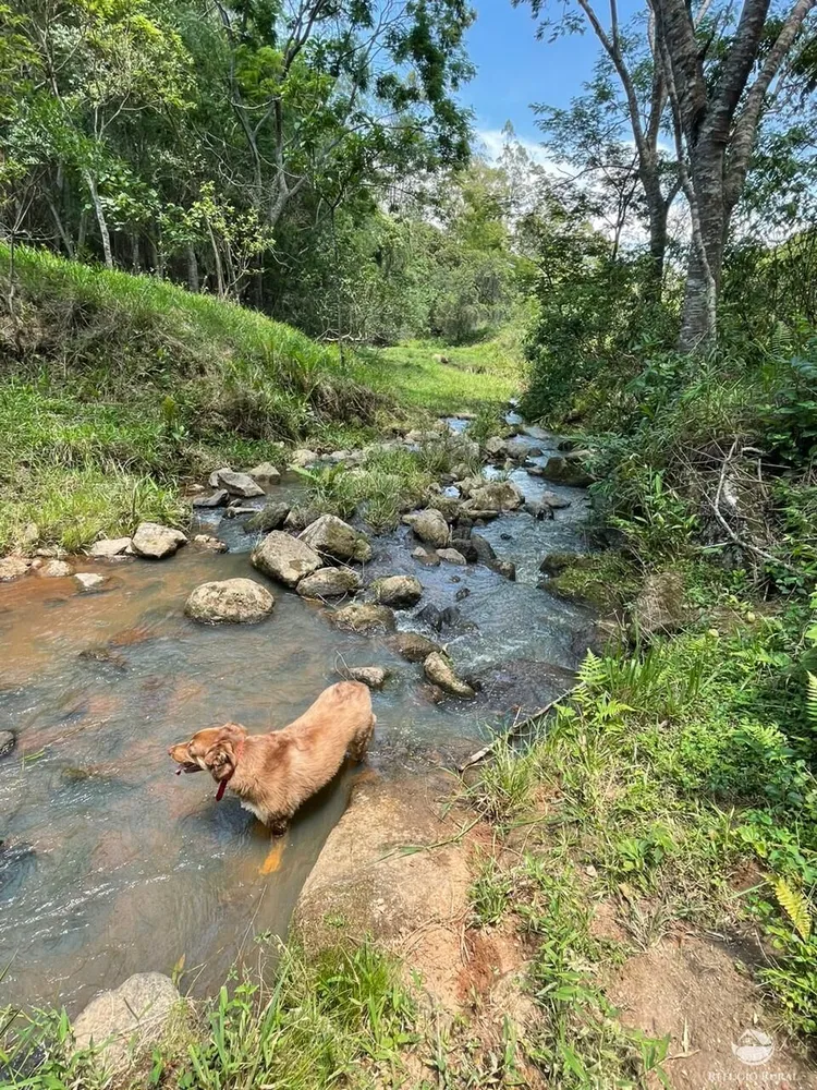 Sítio, 48 hectares - Foto 16
