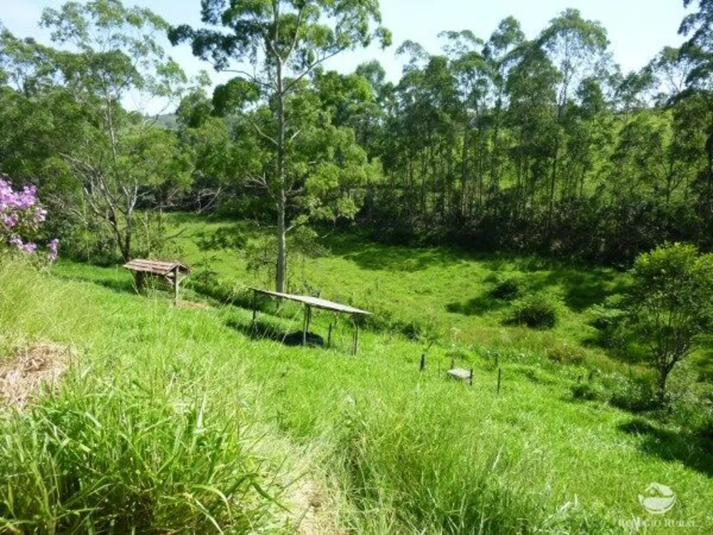 Sítio, 48 hectares - Foto 7