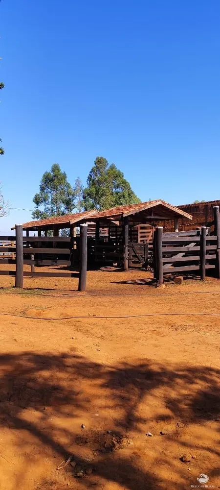 Fazenda, 289 hectares - Foto 9