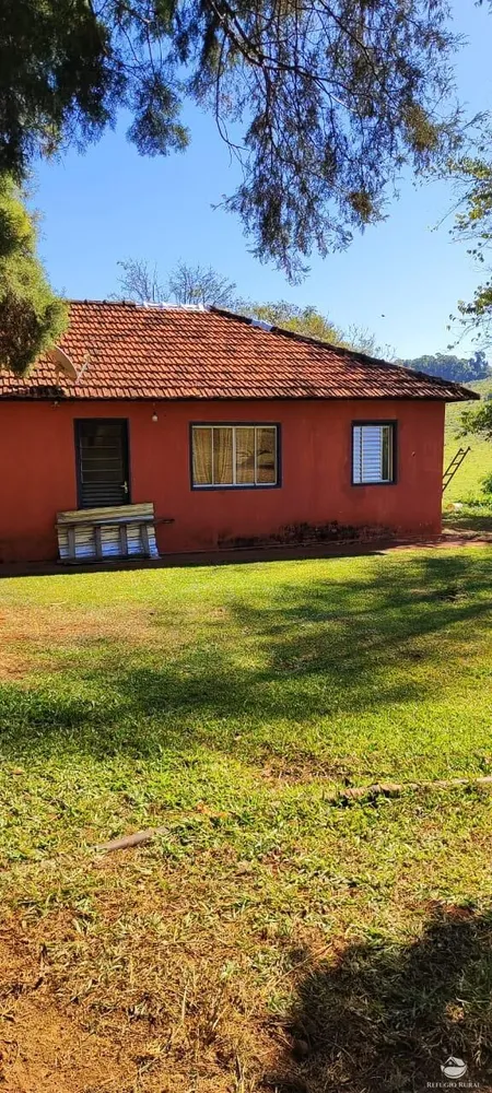 Fazenda, 289 hectares - Foto 10