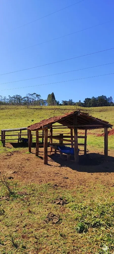 Fazenda, 289 hectares - Foto 3
