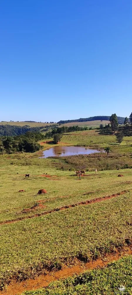 Fazenda, 289 hectares - Foto 1