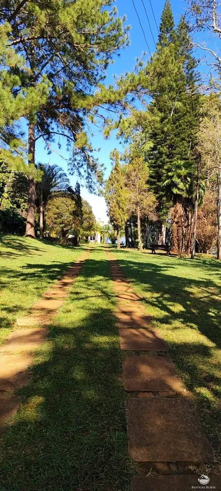 Fazenda, 289 hectares - Foto 3