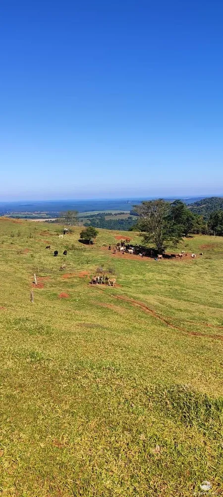 Fazenda, 289 hectares - Foto 12