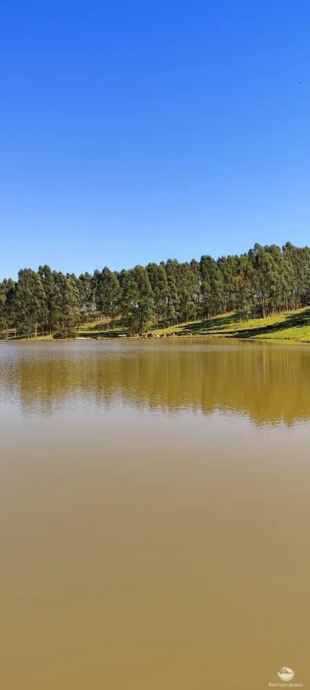 Fazenda, 289 hectares - Foto 2