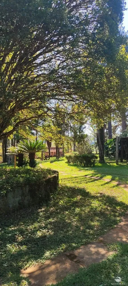 Fazenda, 289 hectares - Foto 4