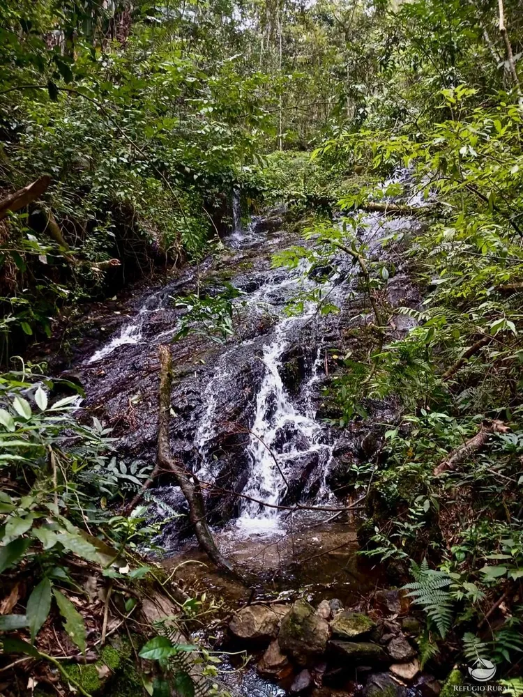 Sítio, 63 hectares - Foto 11