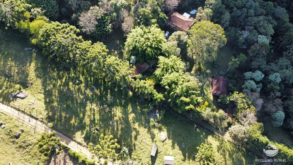 Sítio, 63 hectares - Foto 12