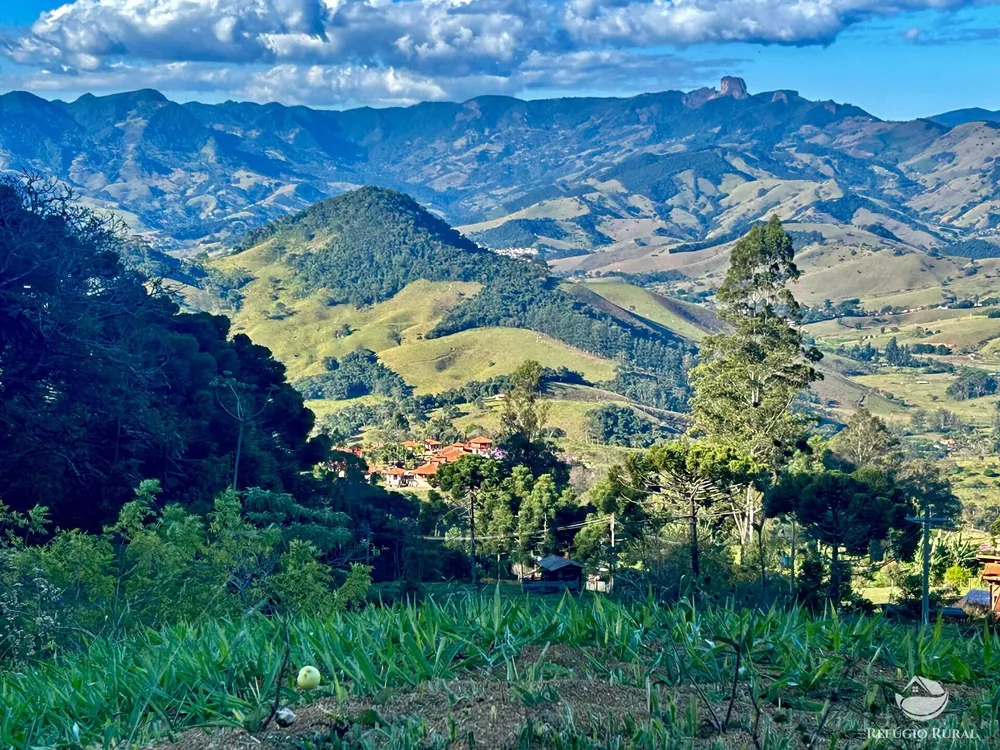 Sítio, 63 hectares - Foto 3