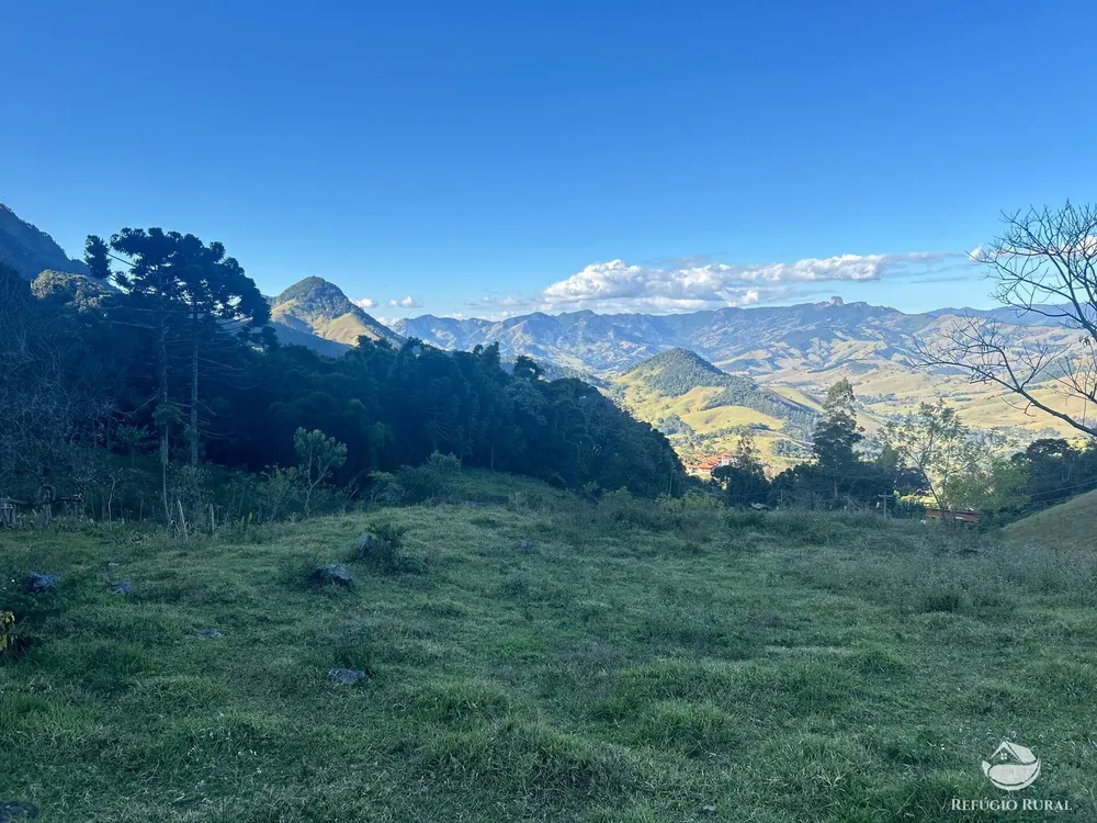 Sítio, 63 hectares - Foto 15