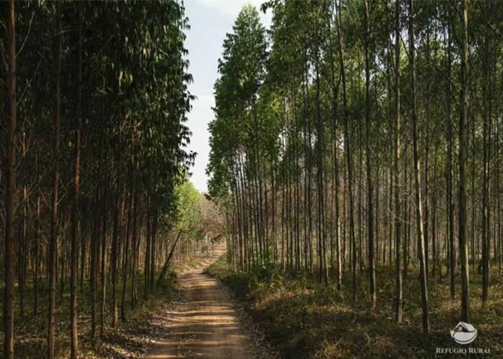 Sítio, 19 hectares - Foto 1