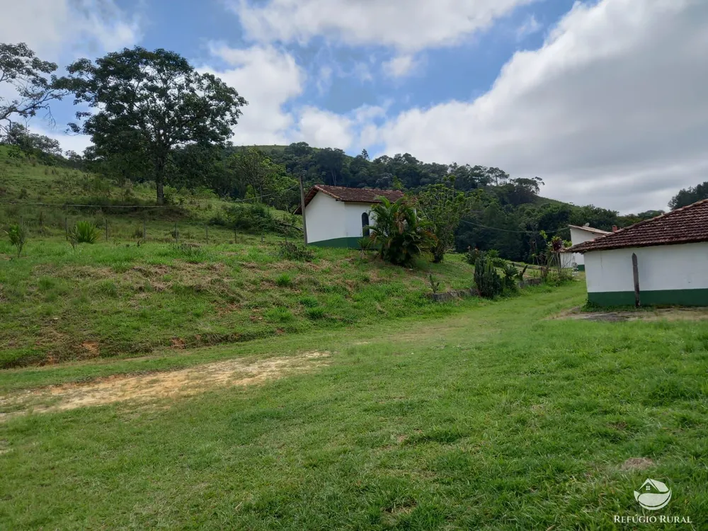 Sítio, 13 hectares - Foto 4