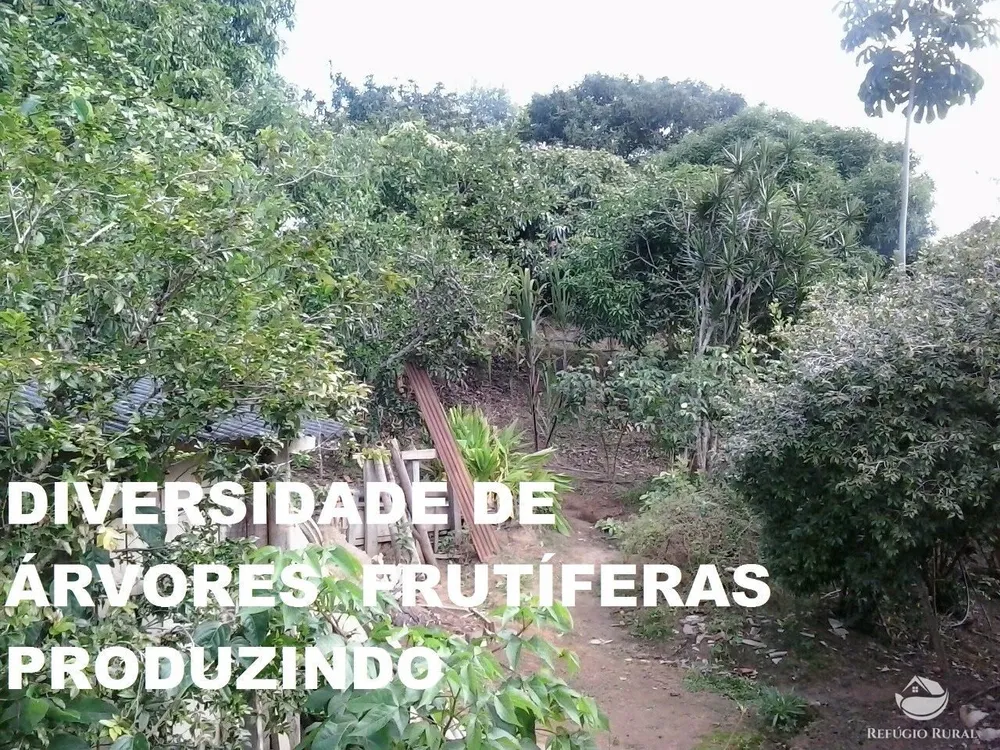 Fazenda, 8 hectares - Foto 19