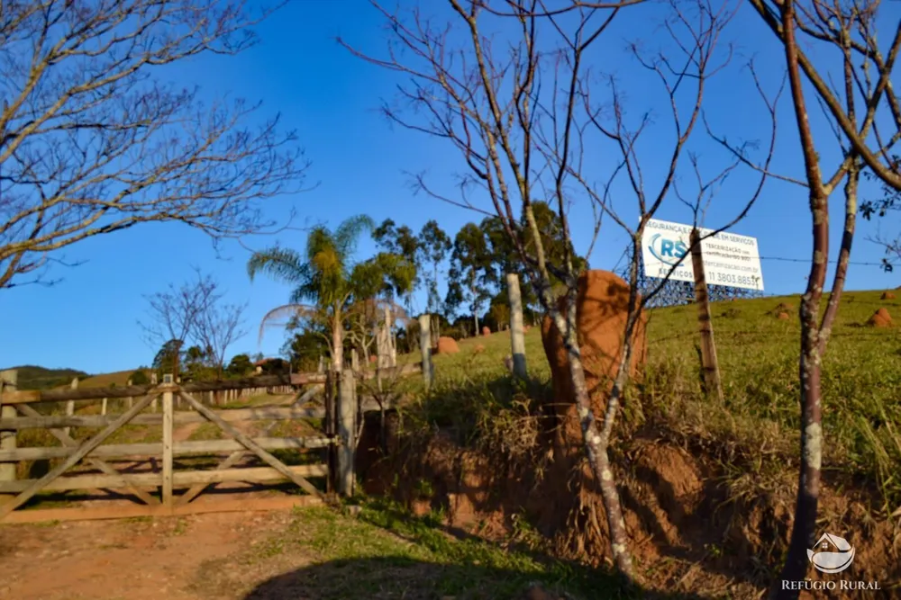 Fazenda, 8 hectares - Foto 15