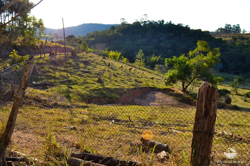 Fazenda, 8 hectares - Foto 13