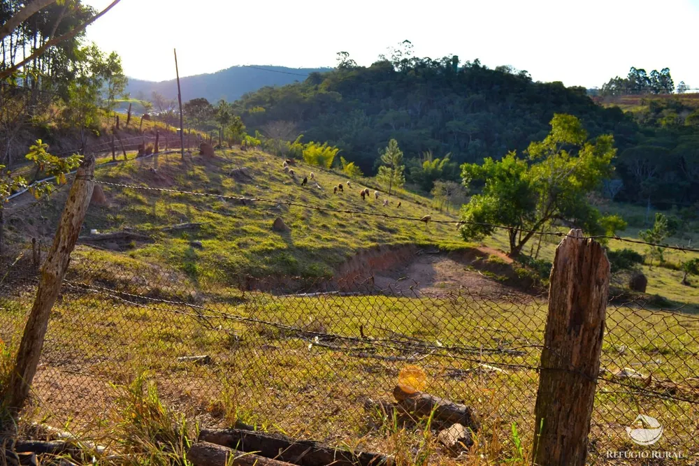 Fazenda, 8 hectares - Foto 8