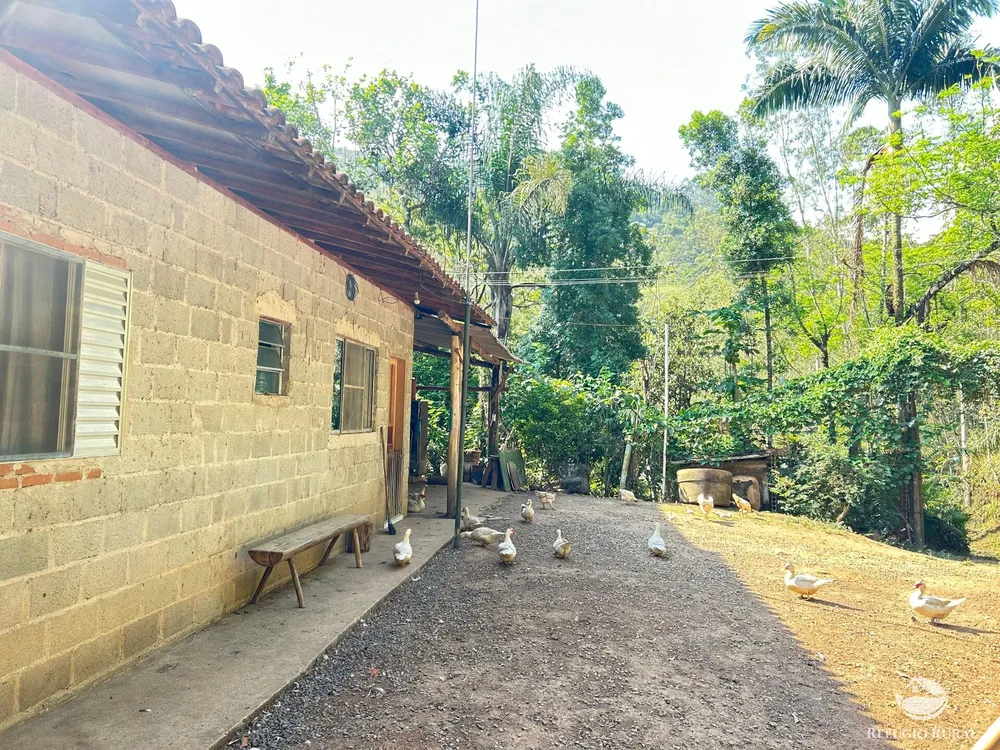 Sítio, 2 hectares - Foto 15