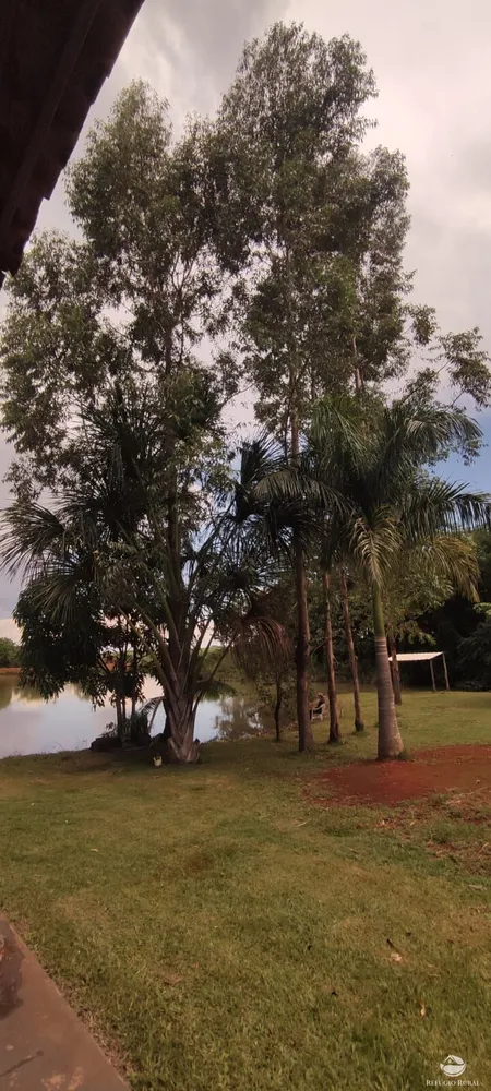 Chácara, 1 quarto, 3600 m² - Foto 7